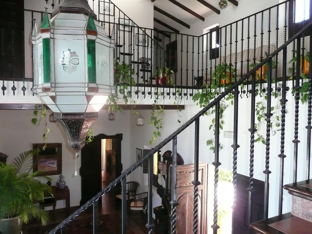 A comfortable living room, bar, dining room and terrace